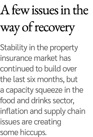 A few issues in the way of recovery Stability in the property insurance market has continued to build over the last s   