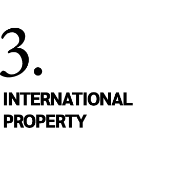 3  INTERNATIONAL PROPERTY 