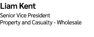 Liam Kent  Senior Vice President Property and Casualty - Wholesale