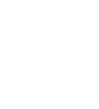 10  D&O INDEMNITY by Mike Lea 36